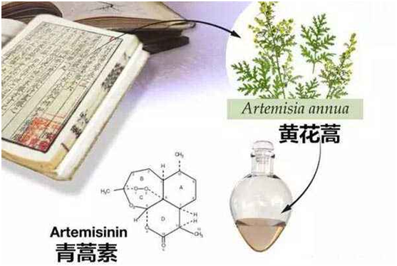 赢博国际官网,赢博国际网址：向中医药看齐，与世界共享中医药文化(图1)